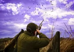 Dove Hunt - Short and quick view