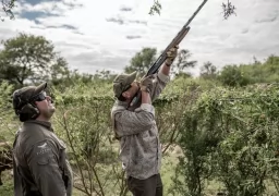 Incredible Dove Hunting in Argentina 